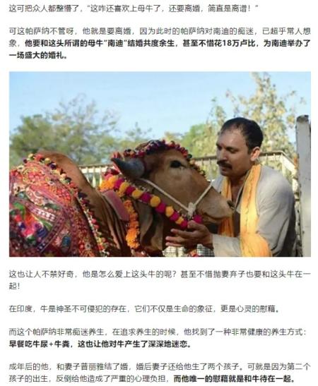 印度男子抛妻弃子与母牛结婚，让人惊掉下巴！