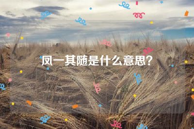 凤一其随是什么意思？