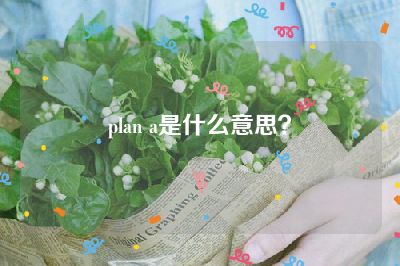 plan a是什么意思？