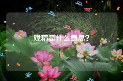 戏精是什么意思？