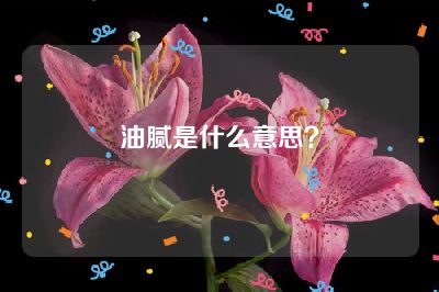 油腻是什么意思？