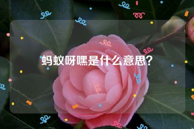 蚂蚁呀嘿是什么意思？