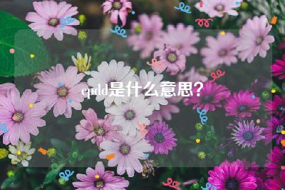 cpdd是什么意思？